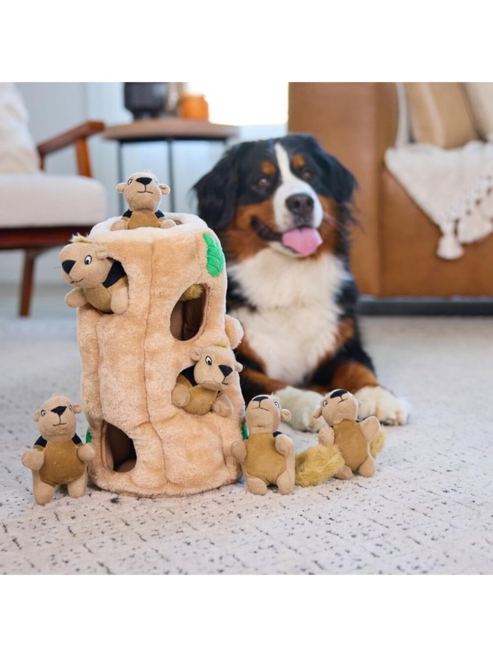 New XL Hide A Squirrel Plush Dog Toy Puzzle, Interactive Fun for Dogs - Picture 6 of 6